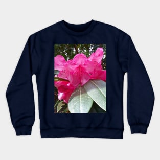 Pink Flowers Nature Photography Pacific Northwest Crewneck Sweatshirt